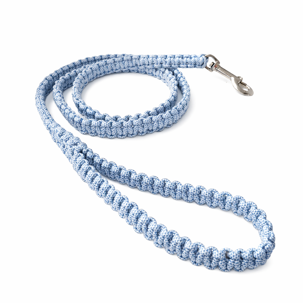 Dog Leash