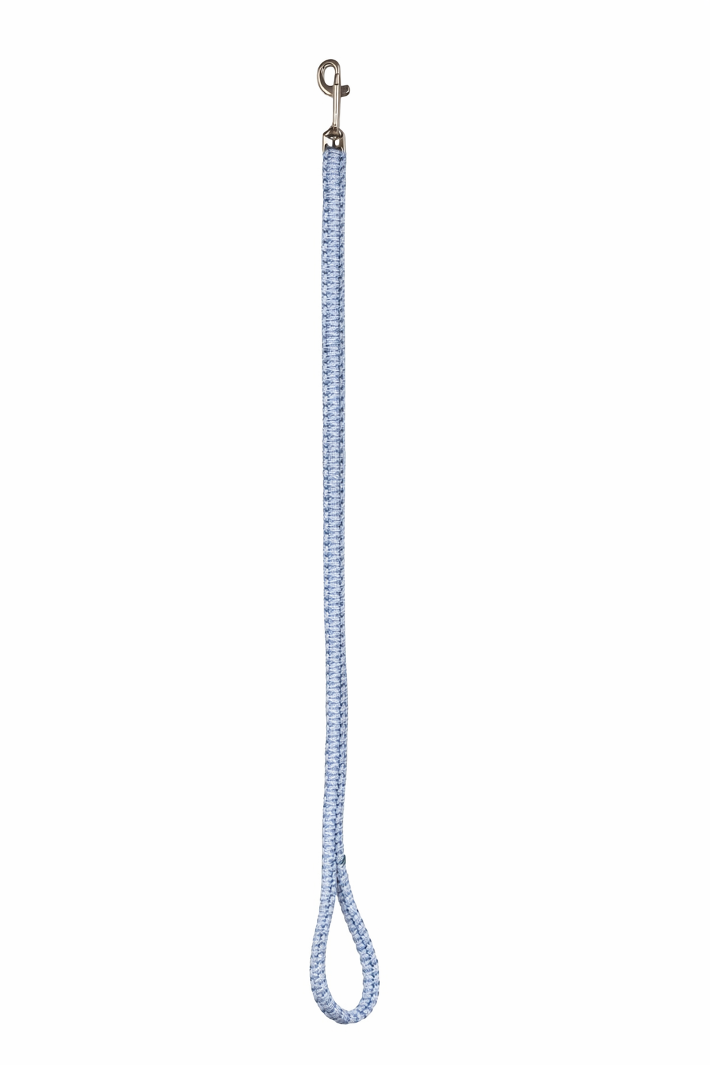 Dog Leash